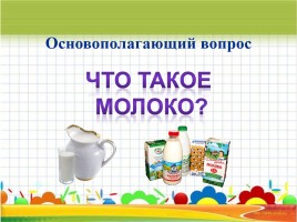 Исследовательский проект «Молоко и молочные продукты», слайд 7