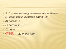 Вегетативное размножение покрытосеменных растений, слайд 28