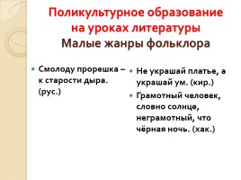 Педагогические технологии, используемые в поликультурном образовании школьников при обучении русскому языку как неродному, слайд 20