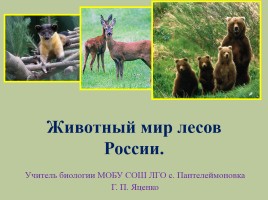 Животный мир лесов России, слайд 1