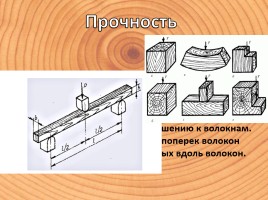 Физико-механические свойства древесины, слайд 10
