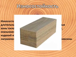 Физико-механические свойства древесины, слайд 13