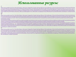 И.А. Гончарова «Обломов», слайд 41