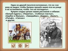 Интерактивный кроссворд «Породы собак» по А.И. Куприну «Собачье счастье», слайд 2