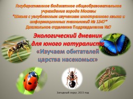 Экологический дневник для юного натуралиста «Изучаем обитателей царства насекомых», слайд 1
