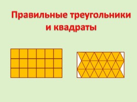 Внеклассное мероприятие по математике «Пчелы и геометрия», слайд 16