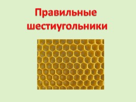 Внеклассное мероприятие по математике «Пчелы и геометрия», слайд 17