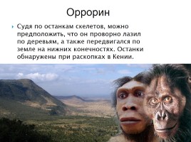 Эволюция человека, слайд 10