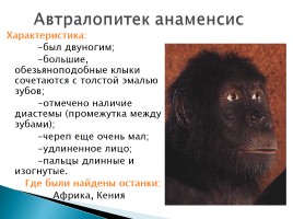 Эволюция человека, слайд 13