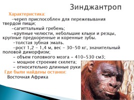 Эволюция человека, слайд 20