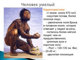 Эволюция человека, слайд 22