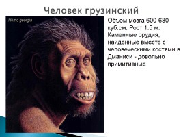 Эволюция человека, слайд 24