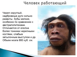 Эволюция человека, слайд 25