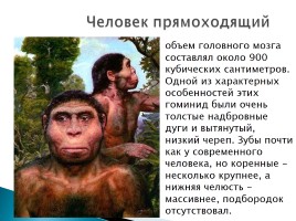 Эволюция человека, слайд 26
