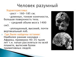 Эволюция человека, слайд 36