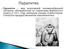 Эволюция человека, слайд 5