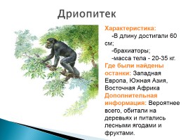 Эволюция человека, слайд 8