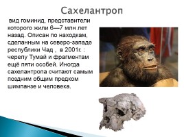 Эволюция человека, слайд 9