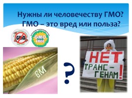 ГМО - вред или польза для человечества?, слайд 7