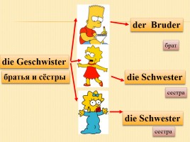 К уроку немецкого языка для 2 класса «Введение слов по теме Семья», слайд 23