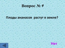 Интеллектуальная игра для 6 классов «Интеллектуальное казино», слайд 48