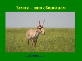 Знай и люби природу родного края, слайд 34