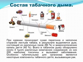 Вредные привычки - Законы РФ о вредных привычках, слайд 11