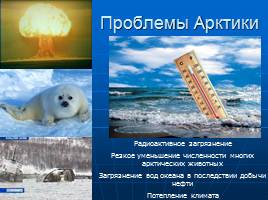 Безмолвная Арктика, слайд 29