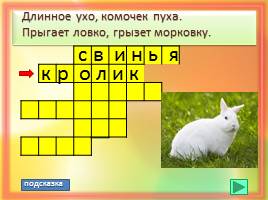 Игровые задания про животных, слайд 4