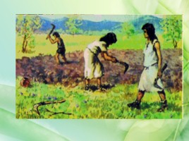 Всеобщая история 5 класс «Возникновение земледелия и скотоводства», слайд 6