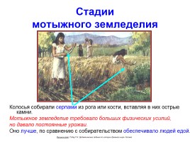 Первобытные земледельцы и скотоводы, слайд 11