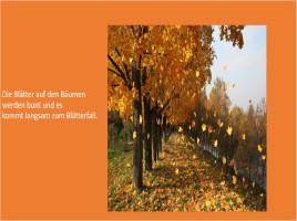 Проектная работа по курсу немецкий язык «Die Jahreszeiten», слайд 17