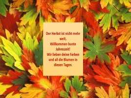 Проектная работа по курсу немецкий язык «Die Jahreszeiten», слайд 21