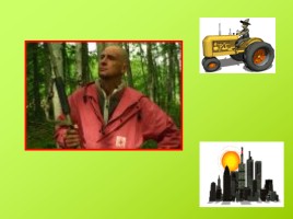 Путешествие по экологической тропе «Лес и человек», слайд 5