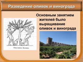 История Древнего мира 5 класс «Земледельцы Аттики теряют землю и свободу», слайд 8