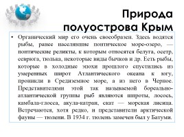 16 марта - Референдум о статусе Крыма, слайд 4