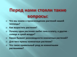 Творческий проект «Растения школьной теплицы от А до Я», слайд 6