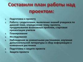 Творческий проект «Растения школьной теплицы от А до Я», слайд 7