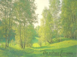 Сергей Александрович Есенин 1895-1925 гг., слайд 14