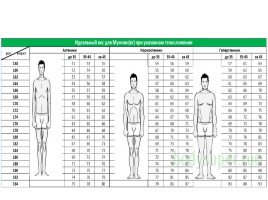 Понятие телосложения и характеристика его основных типов, слайд 16