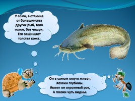 Мир вокруг нас «Кто такие рыбы», слайд 25