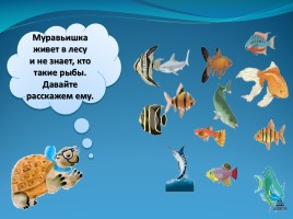 Мир вокруг нас «Кто такие рыбы», слайд 3