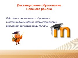 Дистанционное образование Невского района, слайд 2