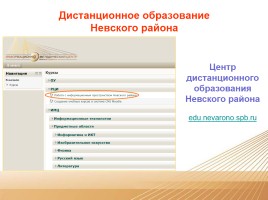 Дистанционное образование Невского района, слайд 3