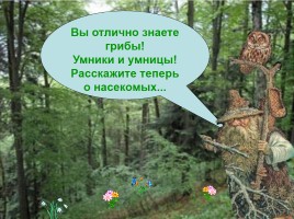 Интерактивная игра о растениях и животных лесов России «Чудесный лес», слайд 26