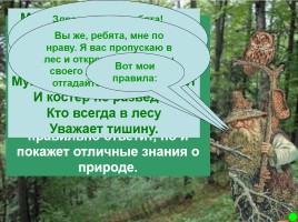 Интерактивная игра о растениях и животных лесов России «Чудесный лес», слайд 3