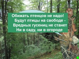 Интерактивная игра о растениях и животных лесов России «Чудесный лес», слайд 37