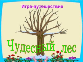 Интерактивная игра о растениях и животных лесов России «Чудесный лес», слайд 4