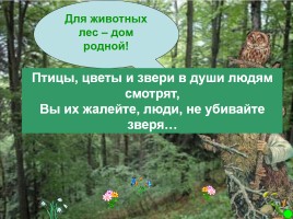 Интерактивная игра о растениях и животных лесов России «Чудесный лес», слайд 43