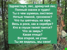 Интерактивная игра о растениях и животных лесов России «Чудесный лес», слайд 5